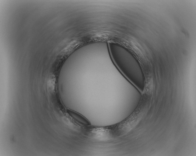 X0000116490231200912090954