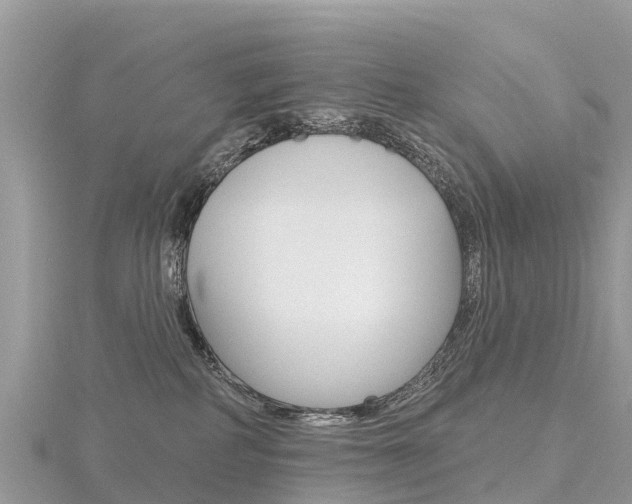 X0000116490234200912090954