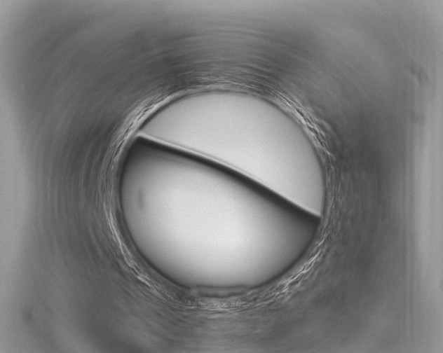 X0000116490241200912090953