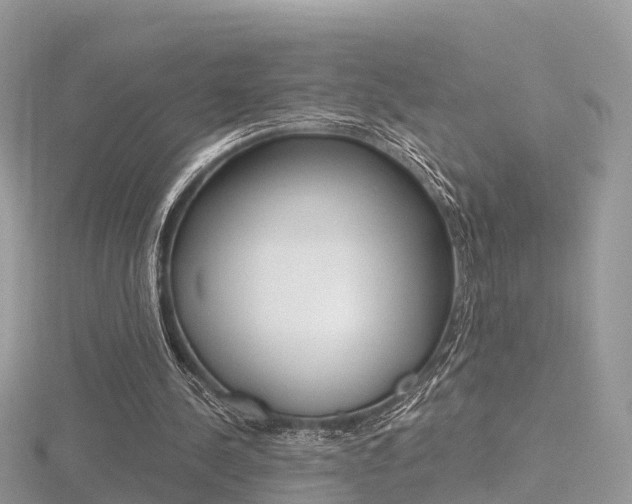 X0000116490244200912090953