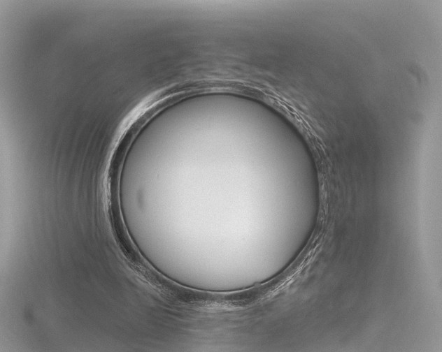 X0000116490246200912090953