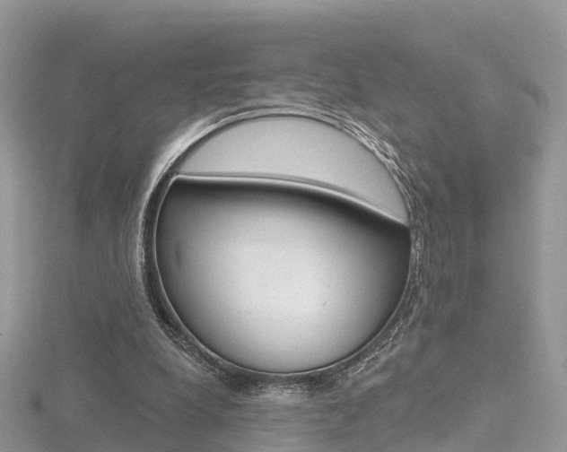 X0000116490248200912090953