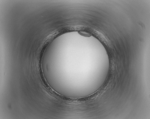 X0000116490258200912090953