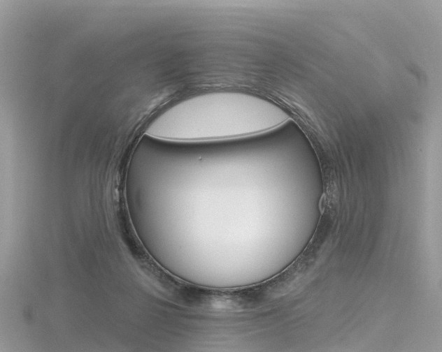 X0000116490264200912090953