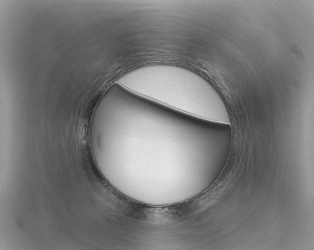 X0000116490273200912090953