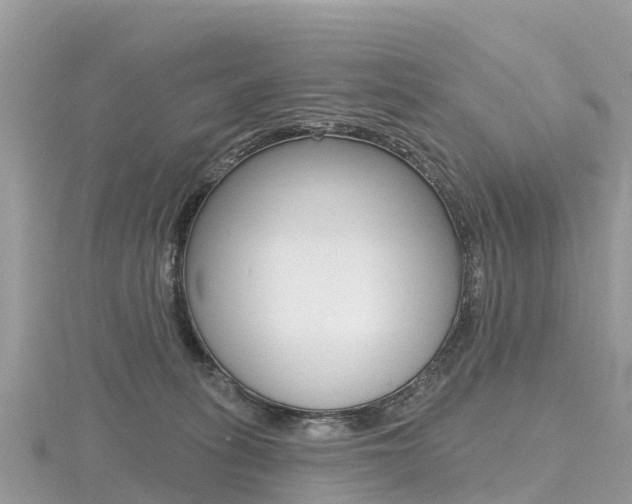 X0000116490275200912090953