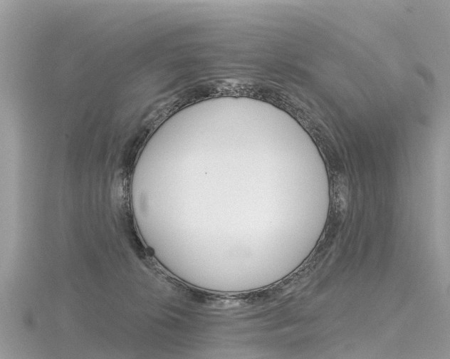 X0000116490276200912090953