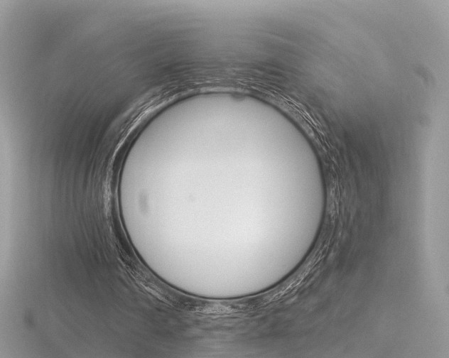 X0000116490290200912090953