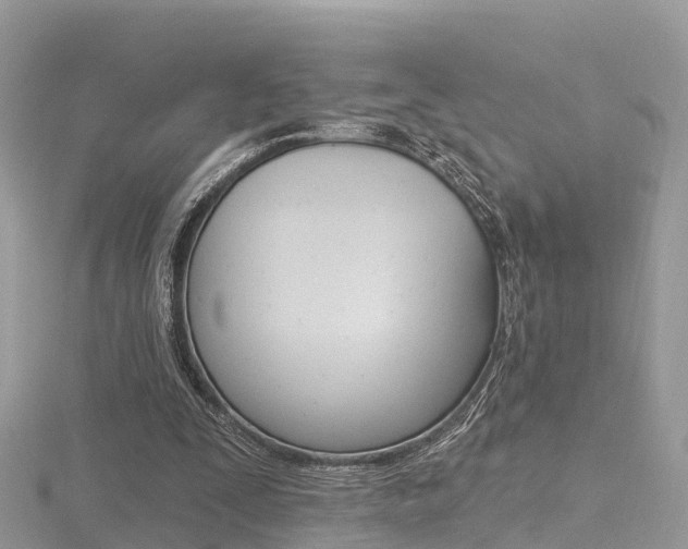 X0000116490295200912090953