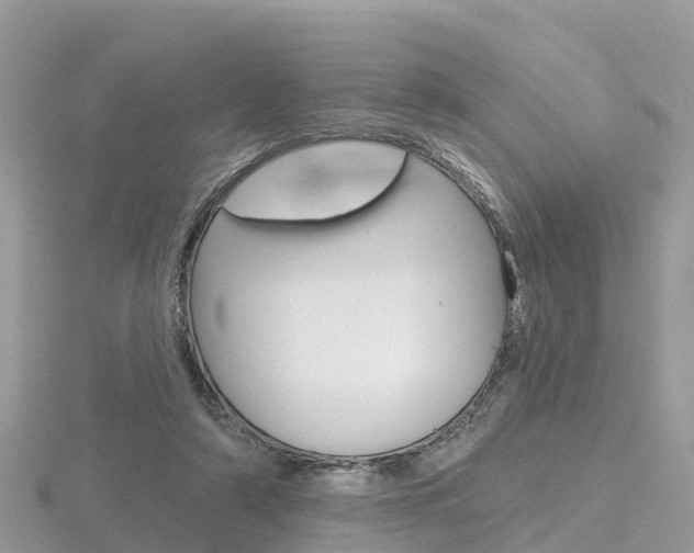 X0000116490306200912090953