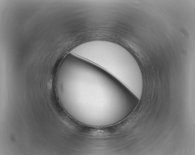 X0000116490315200912090953