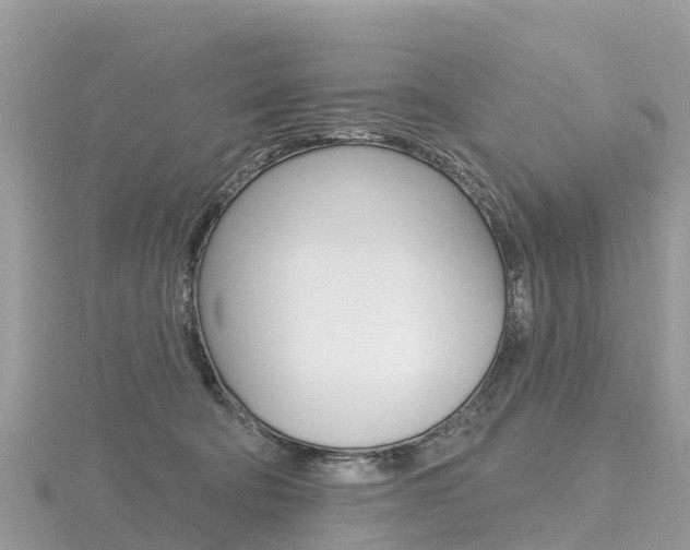 X0000116490322200912090953