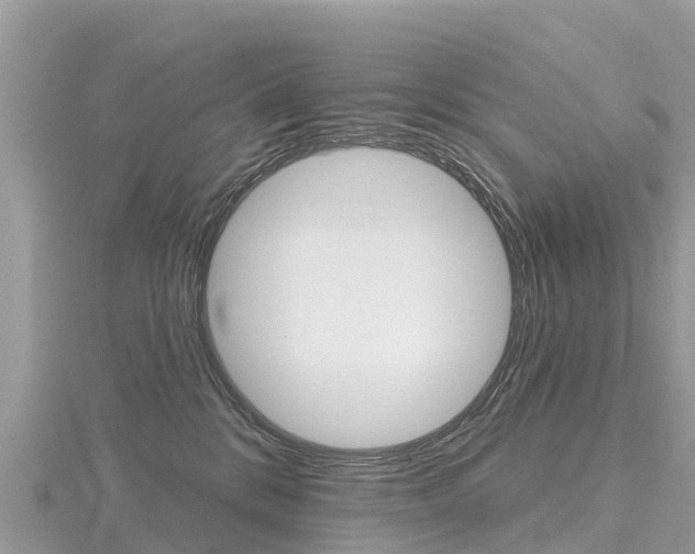 X0000116490328200912090953