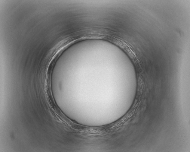 X0000116490338200912090952