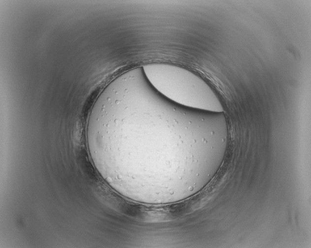 X0000116490359200912090952