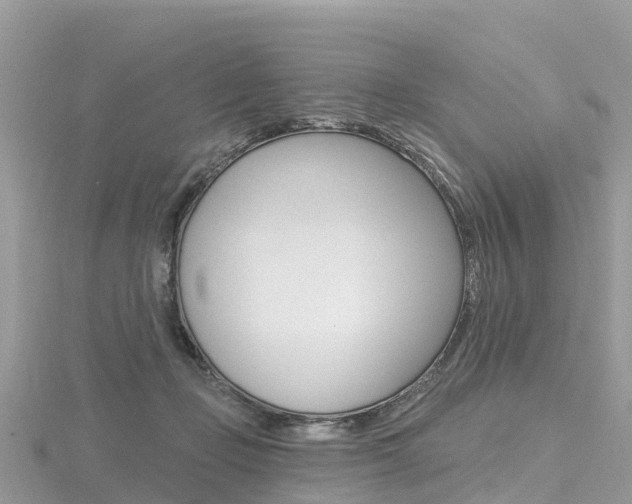 X0000116490365200912090952
