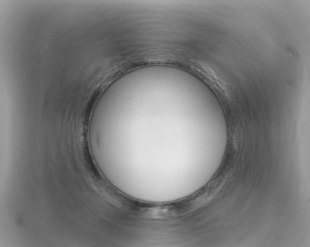 X0000116490366200912090952