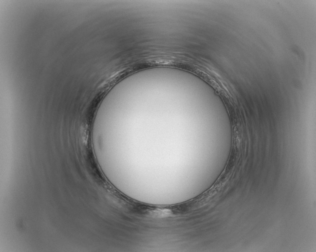 X0000116490374200912090952