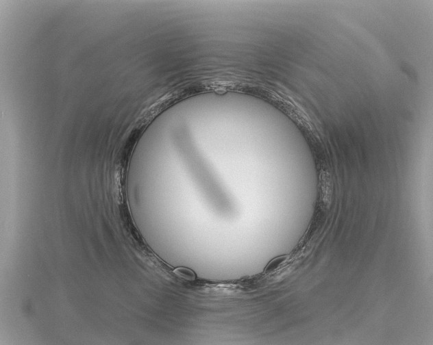 X0000116490378200912090952