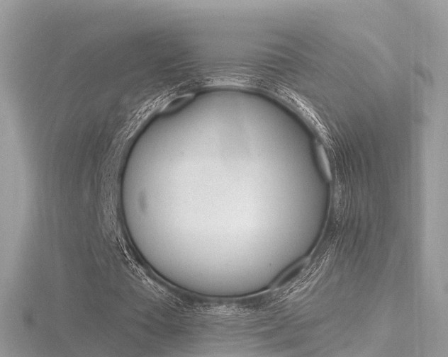 X0000116490385200912090952