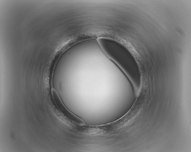 X0000116490399200912090952