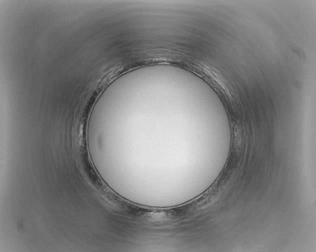 X0000116490406200912090952