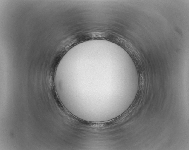 X0000116490422200912090951