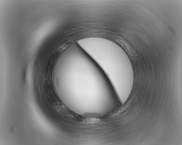 X0000116490429200912090951