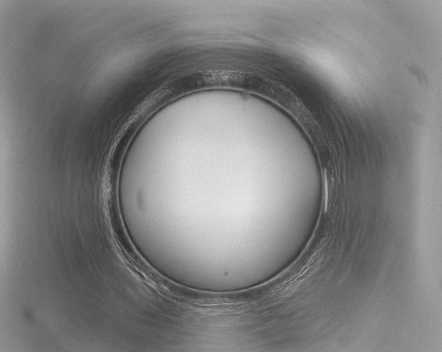 X0000116490435200912090951