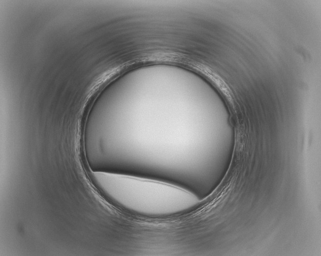 X0000116490437200912090951