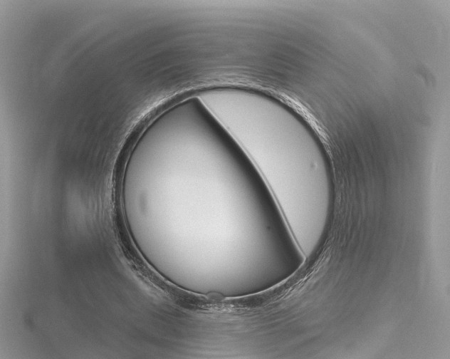 X0000116490439200912090951
