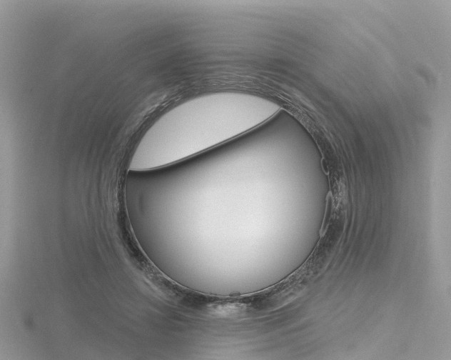X0000116490452200912090951