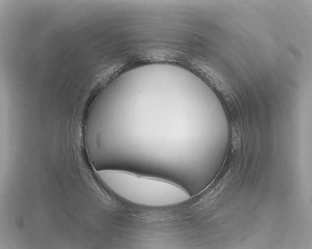 X0000116490453200912090951