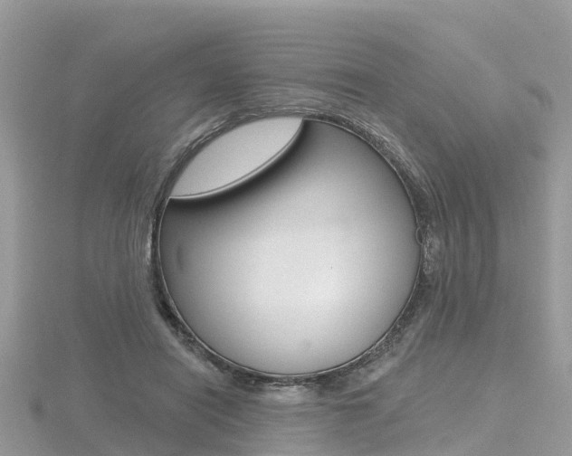 X0000116490454200912090951