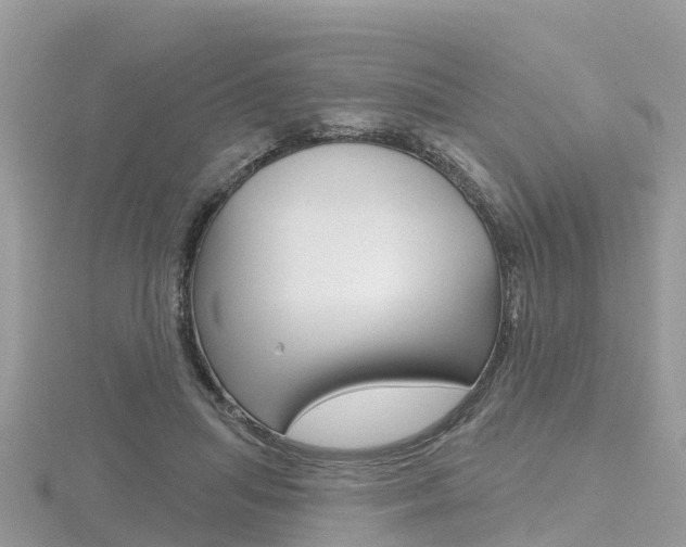 X0000116490455200912090951