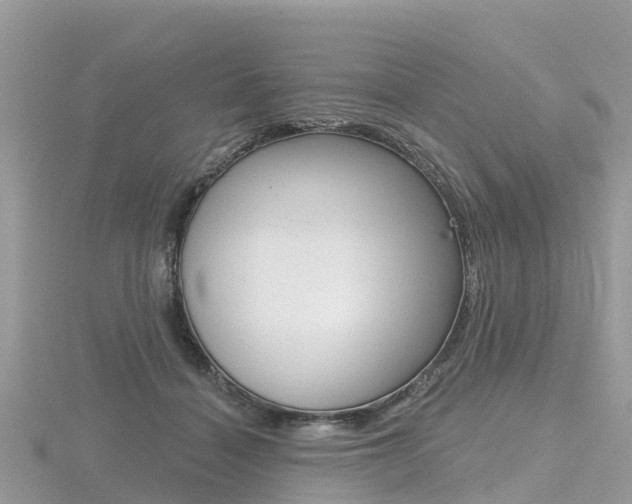 X0000116490460200912090951