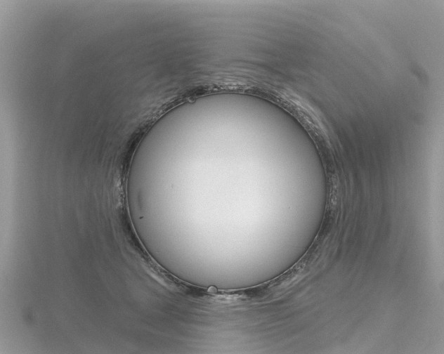 X0000116490465200912090951