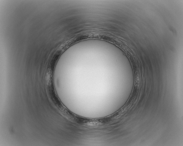X0000116490468200912090951