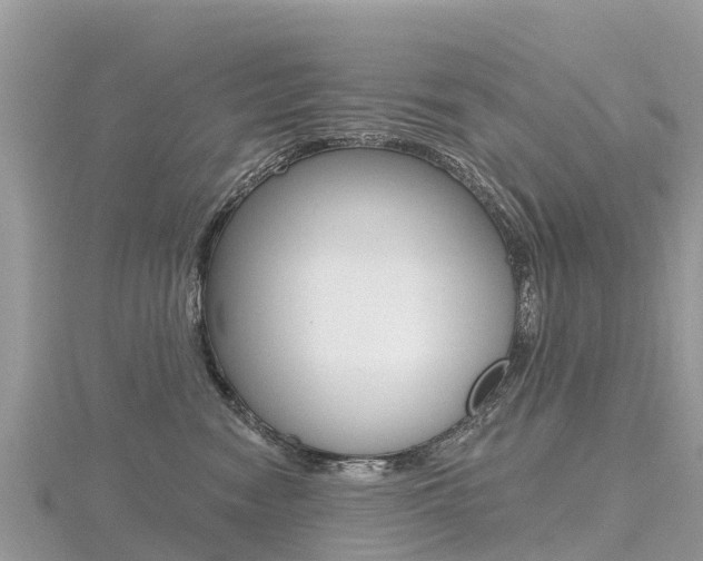 X0000116490474200912090951
