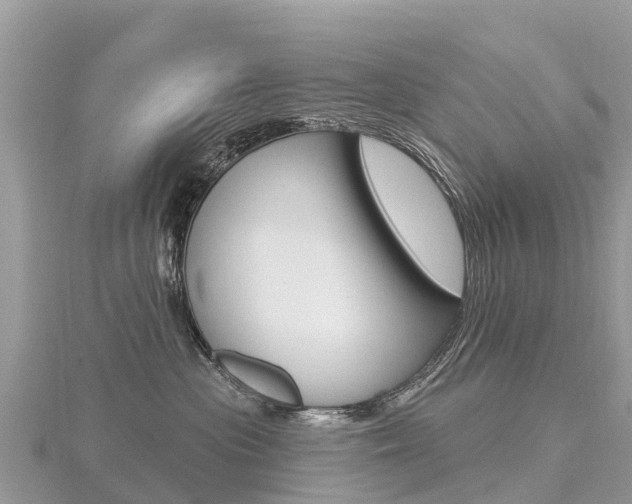 X0000116490477200912090951