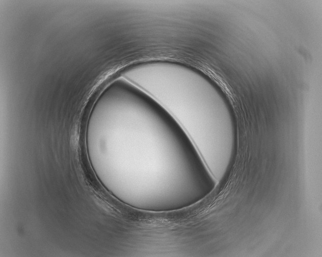 X0000116490483200912090951