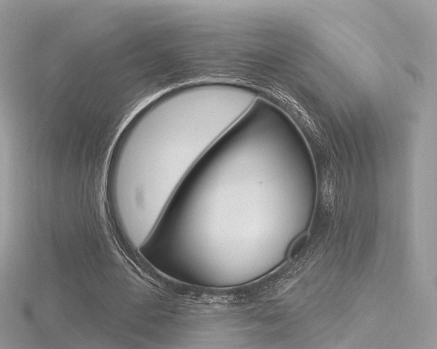 X0000116490484200912090951