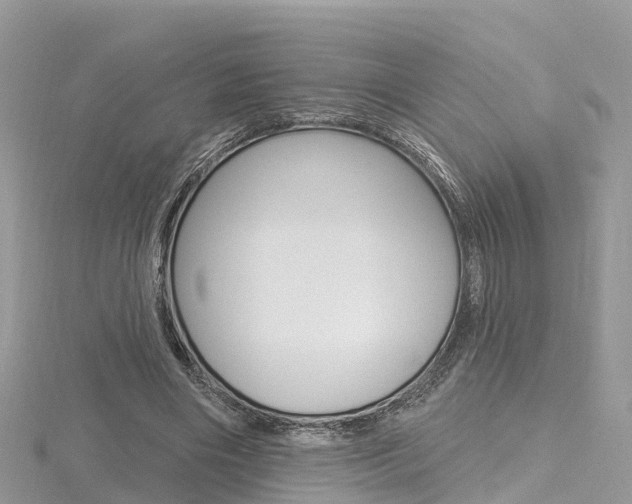X0000116490490200912090950