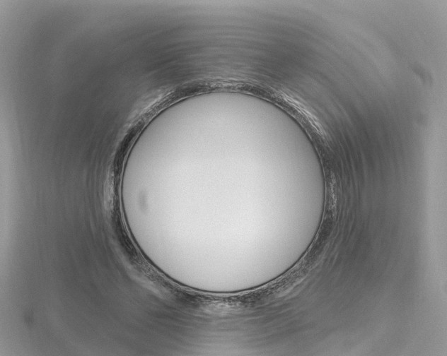 X0000116490494200912090950