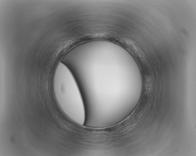 X0000116490495200912090950