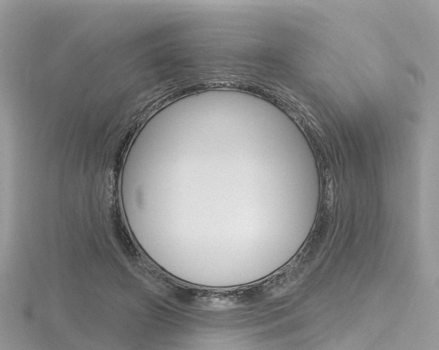 X0000116490498200912090950