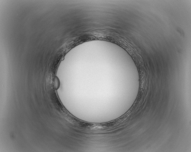 X0000116490518200912090950
