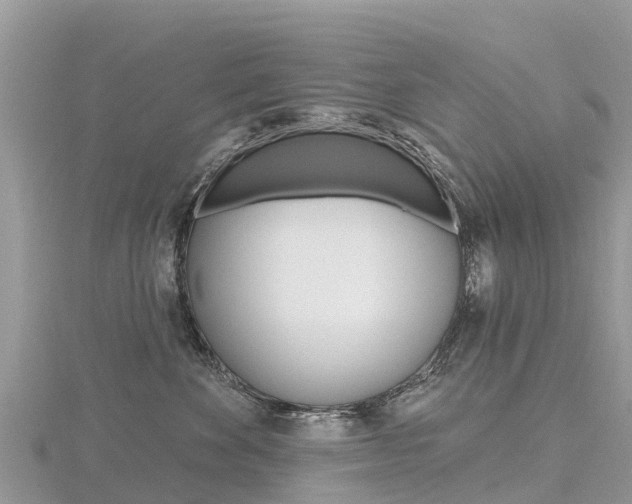 X0000116490524200912090950