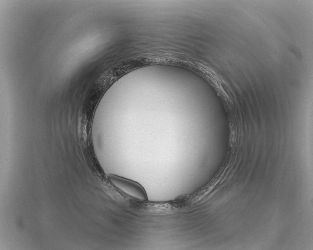 X0000116490525200912090950