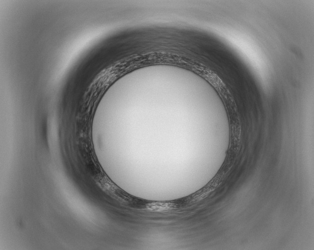 X0000116490526200912090950